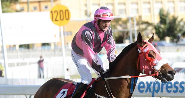 Hippisme – 23e journée: Duel Gujadhur – Rousset dans la Princess Margaret Cup