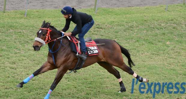 The Afrasia Duke of York Cup: jour de gloire pour Kremlin Captain?