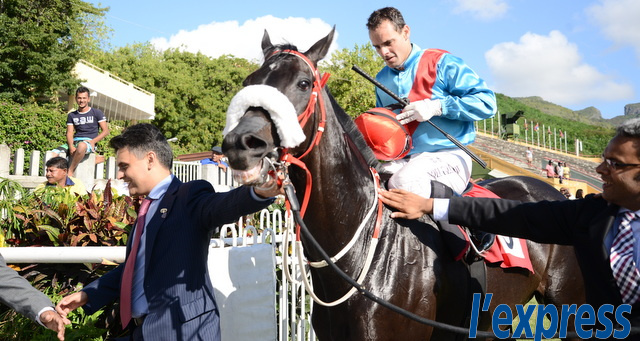 Hippisme: Vettel, stayer de l’année
