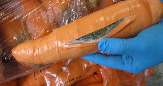 Trafic de drogues: de la marijuana dissimulée dans des fausses carottes