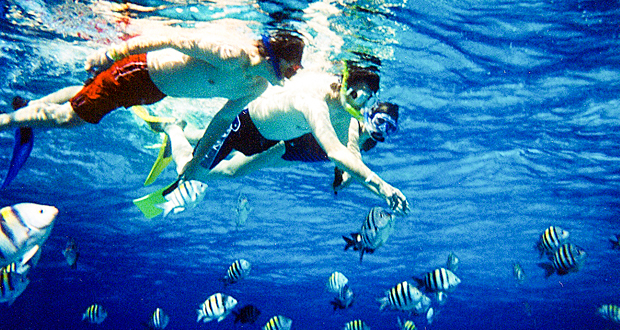 Loisirs: Belle-Mare accueille les amateurs de «snorkelling»