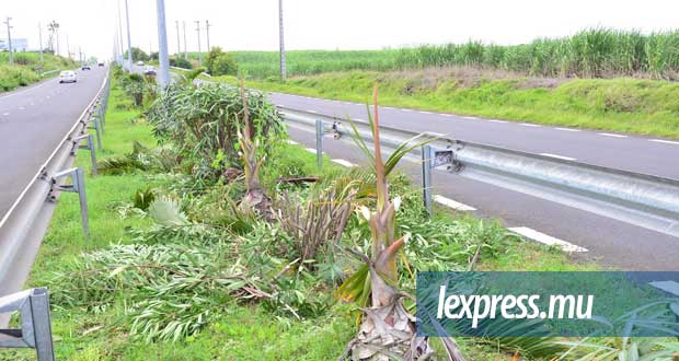 Autoroute du Nord : Silence on élague
