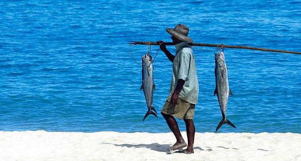 Concours Ramsar: le gagnant de 17 ans disqualifié