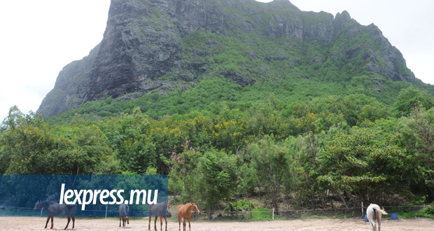 Patrimoine: enfin l’accès à la montagne du Morne ce jeudi 