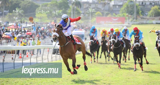 Hippisme: Parachute Man en démonstration dans le Maiden
