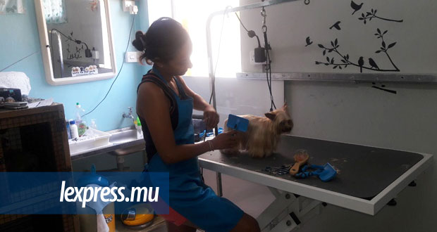 Woof N Wash: et si on prenait soin de vos toutous…