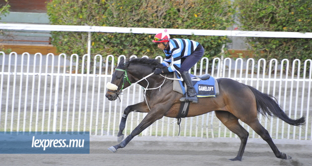 Hippisme-Gameloft : dopage (EPO) confirmé