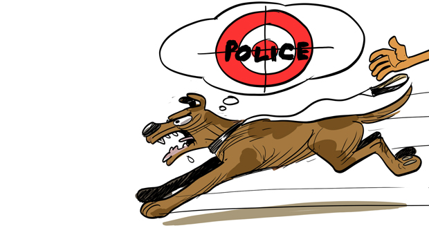 Accusé de séquestration, un présumé dealer lance ses chiens sur des policiers