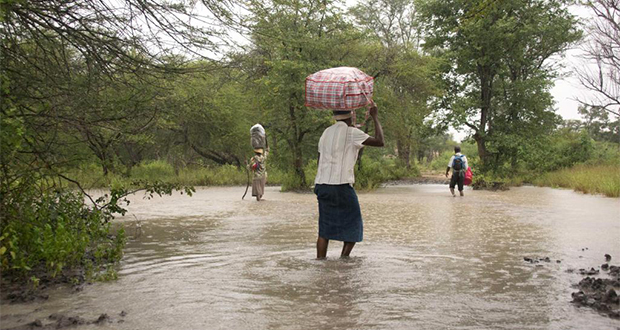 Après les inondations, 150 morts de paludisme au Zimbabwe