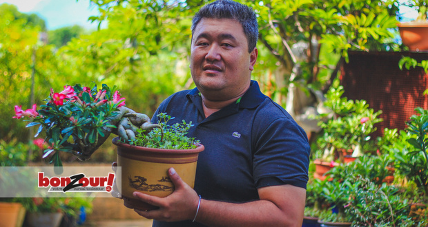 Pascal Li : le passionné de bonsaïs