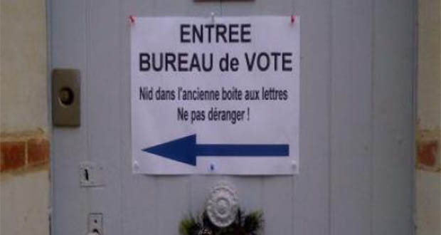 France/présidentielle : des bébés mésanges obligent à un détour pour accéder au bureau de vote