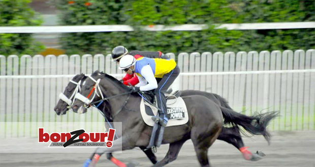 Hippisme - Training news : Prince Of Thieves se prépare  pour le derby trial