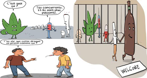 Drogue: 7 questions pour comprendre