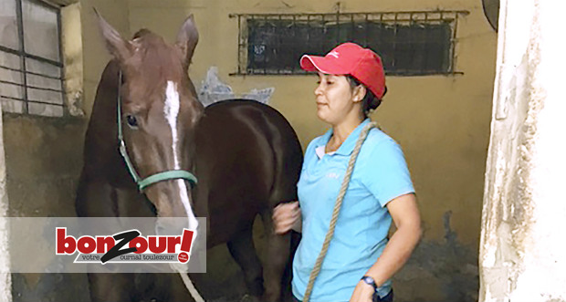 Barbé Cup 2017 - Ooma et Brinda: un amour de cheval