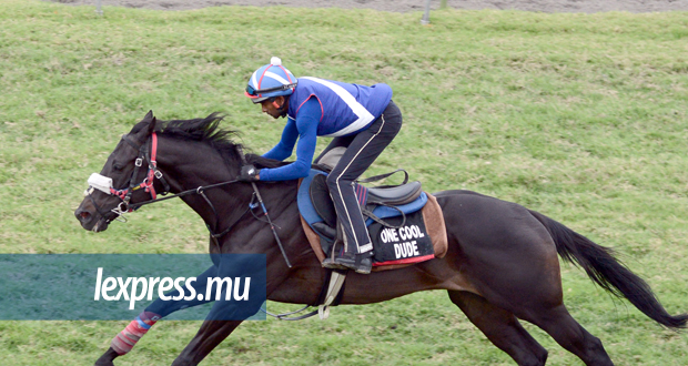 16e journée - The Blue Label Barbé Cup: mince avantage à one Cool Dude