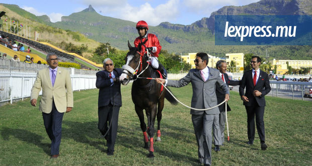 Hippisme: Hard Day’s Night, champion incontesté chez les quatre ans