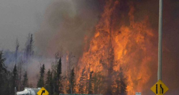 Feux de forêts au Canada: état d'urgence prolongé et aides aux sinistrés