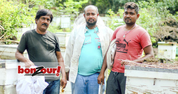Anand Boodhoo: le roi des abeilles