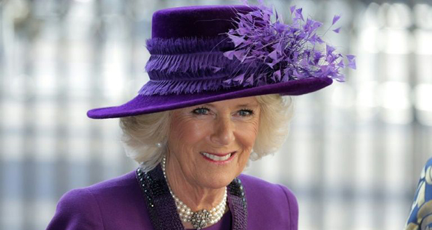 Grande-Bretagne: de «rottweiler»  à «Altesse royale», le long chemin de Camilla