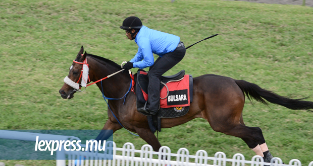 [Document] Hippisme: Bulsara retourne en compétition à 11 ans