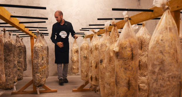 A Marseille, les champignons naissent dans le café