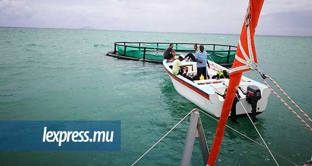 Visite à la ferme aquacole: l’AHRIM donne la réplique à Gayan 
