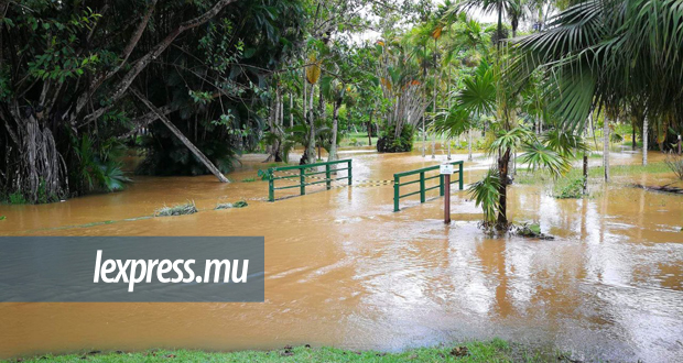 Fortes pluies: le jardin de Pamplemousses submergé par les eaux