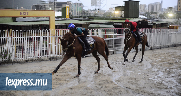 Hippisme – saison 2018: le coup d’envoi repoussé au 31 mars