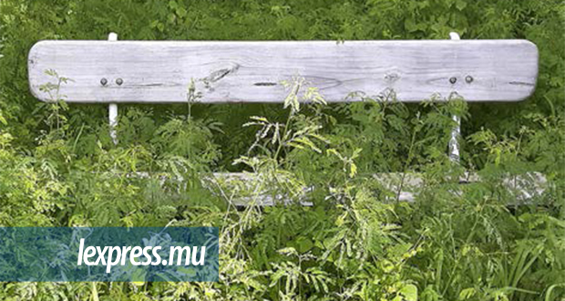 Souillac: abandonné le jardin !