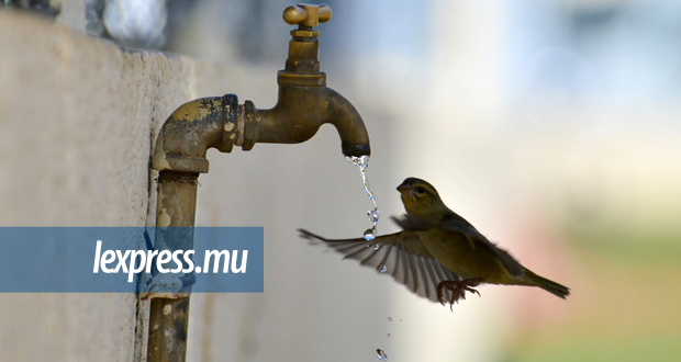 Privatisation de la CWA: «Pas possible de laisser à des multinationales la responsabilité de l’eau»