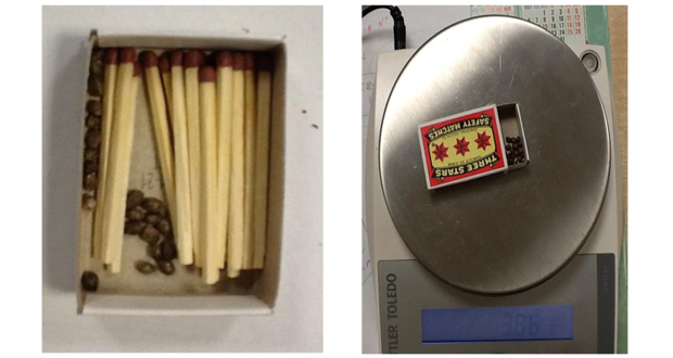 À l’aéroport: des graines de cannabis dissimulées dans une… boîte d’allumettes