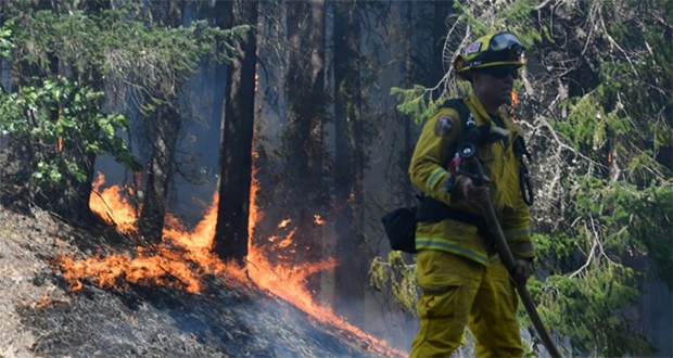 Au moins huit morts dans les incendies qui dévorent la Californie 