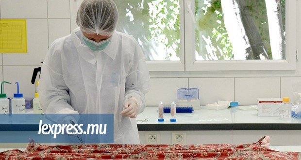 Projet de laboratoire d’ADN abandonné: ce que Maurice perd en termes d’avancée 