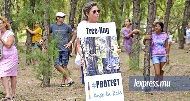 Abattage des arbres à Anse-La-Raie: cause commune, motivations multiple