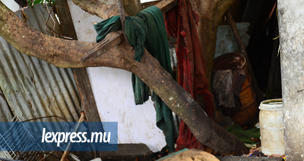 Beau-Bassin: des voisins accusent un vieil homme de zoophilie