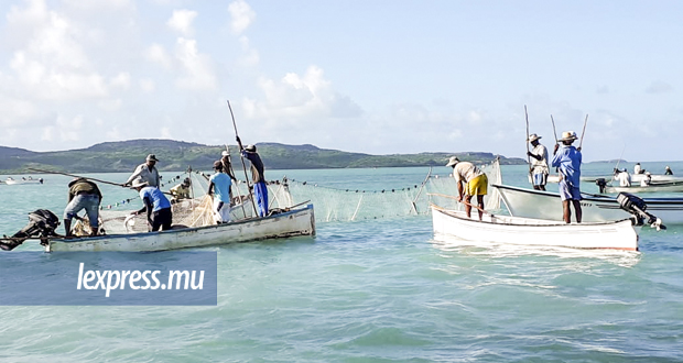 Ouverture de la pêche à Rodrigues: les mulets et les malins pêcheurs
