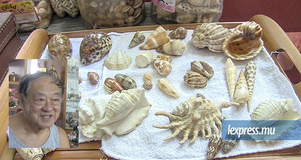 Charles NG: L’homme aux 4 000 coquillages