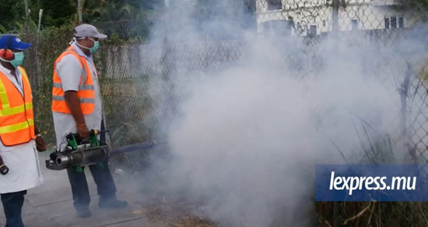 Dengue: 28 cas détectés à Roche-Bois et Résidence la Cure