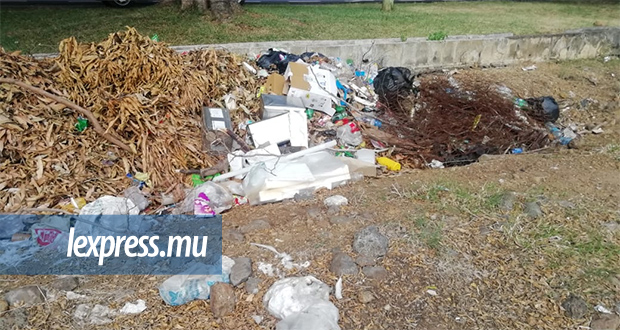 Médine: des petits malins pollueurs