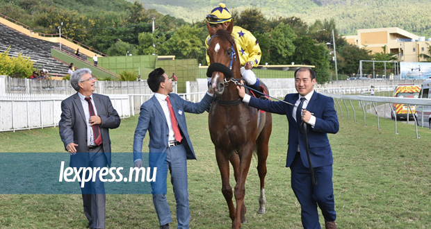 Hippisme- 12e journée: Viking Trail fait chuter Rule The Night