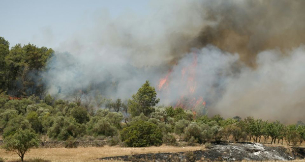 Un incendie hors de contrôle en Catalogne a affecté 6.500 hectares