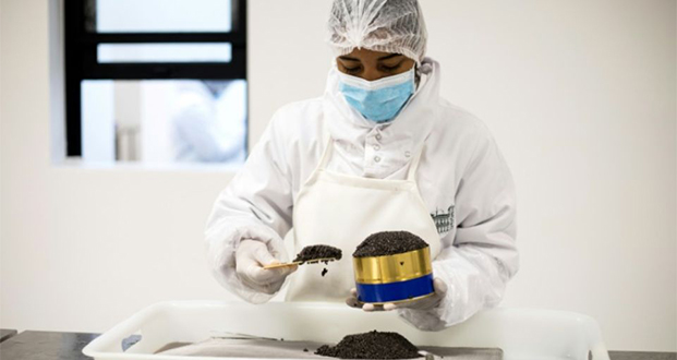 Grâce à Madagascar, le caviar peut aussi être africain