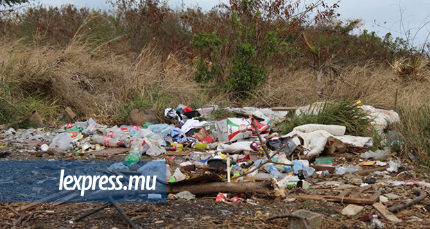 Bambous: ces déchets dans la nature