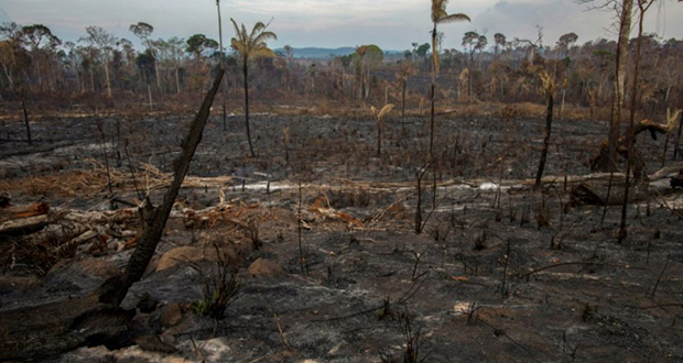 Les incendies en Amazonie progressent malgré le déploiement d’avions et de soldats