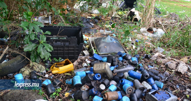 Chemin-Grenier: verdure et environnement maltraités