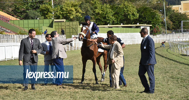 Hippisme – 26e journée: Rule The Night enlève son premier Gr.1
