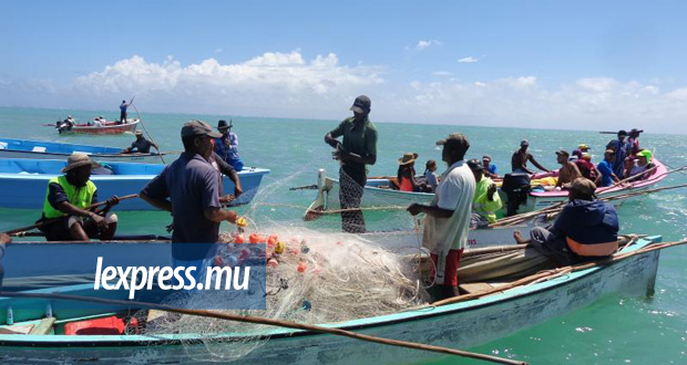 Rodrigues: fermeture de la pêche à la senne aujourd’hui
