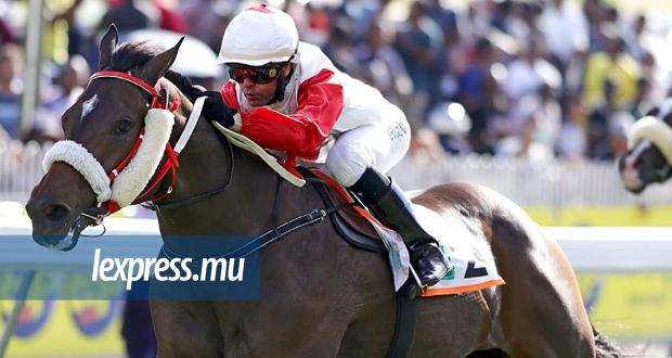 Swan-Duke of York Cup: White River, fais nous rêver !