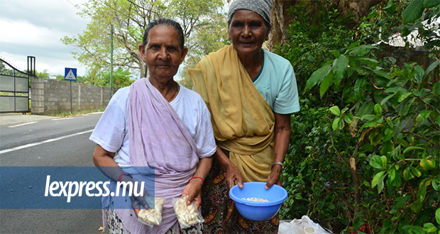 Belle-Vue-Maurel: Kumari et Indranee cueillent les champignons au clair de lune