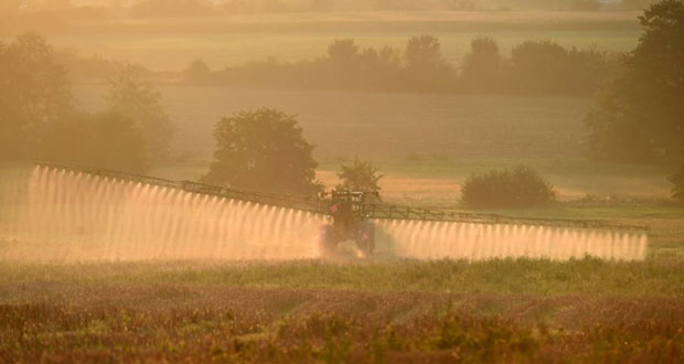 Pesticides: distances d’épandage fixées à 5 et 10 mètres selon les cultures